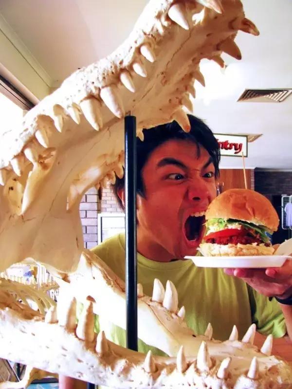 awehome怎么样,awehome靠谱吗