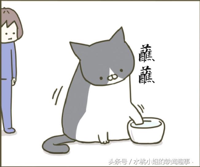 咪咪趣事漫画：为何把爪子伸进去呢？