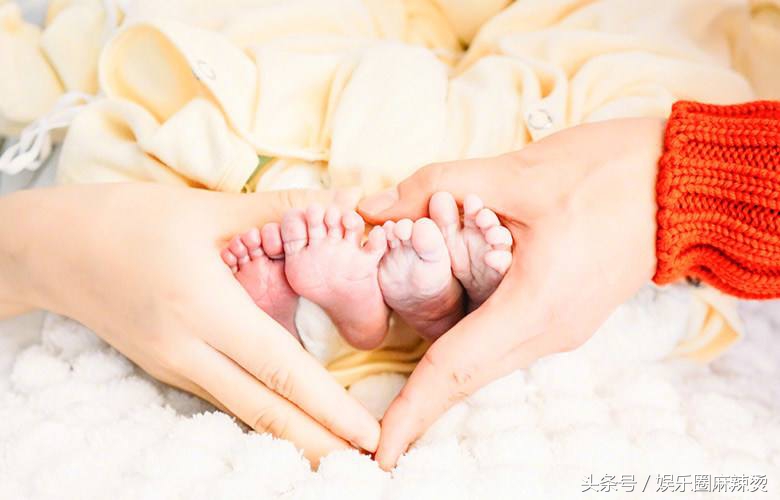 谢娜张杰四胎怀三胎了吗,谢娜生三胎张杰开心吗