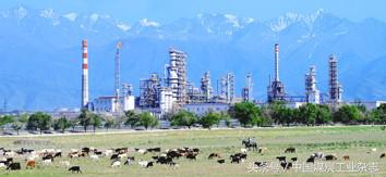 陕煤董事长杨照乾重庆合作,陕煤集团领导杨照乾