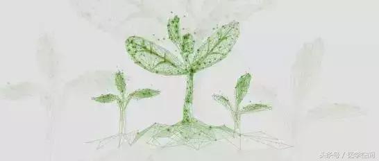 美国癌症协会公布九大防癌建议 (美国癌症协会公布9大防癌建议)