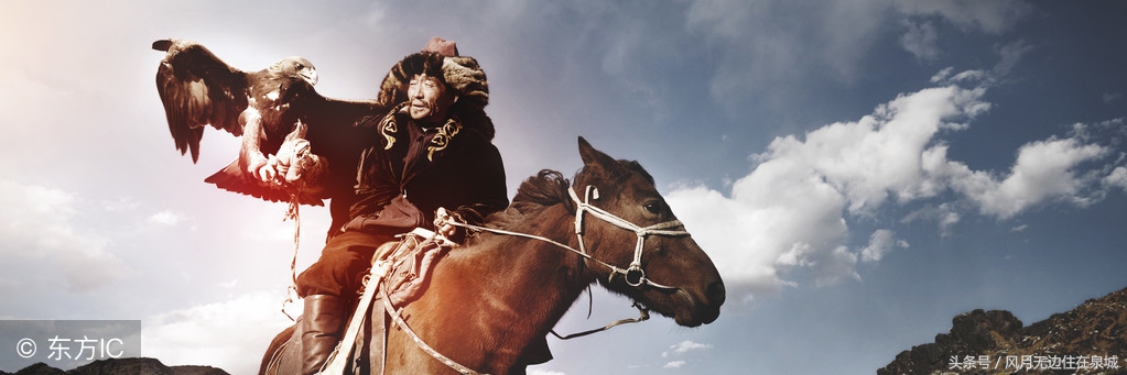 蒙古马和套马图片,蒙古套马绳子教学