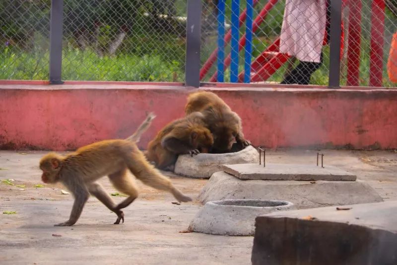 亲自然亲子户外活动太原,太原六一带孩子去哪里玩比较好