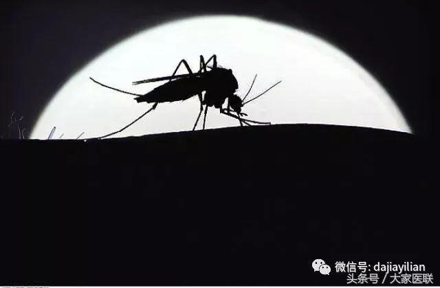 小孩变成植物人的后果,12岁儿童突然变成植物人