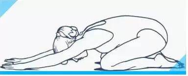 腰椎操小燕飞整套操作,腰椎锻炼小燕飞操