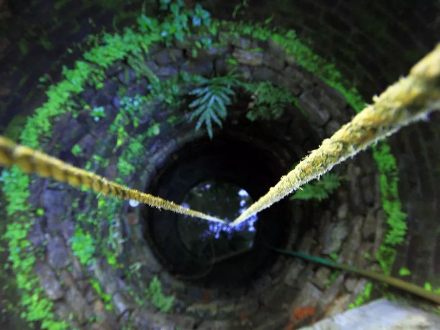 牧场放心奶拼团,牧场牛奶拼团