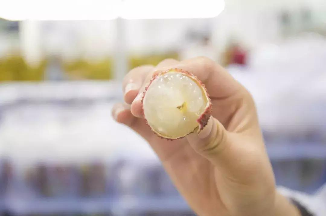 再也不用代购了!来自全球30个国家4000+商品火爆来袭!