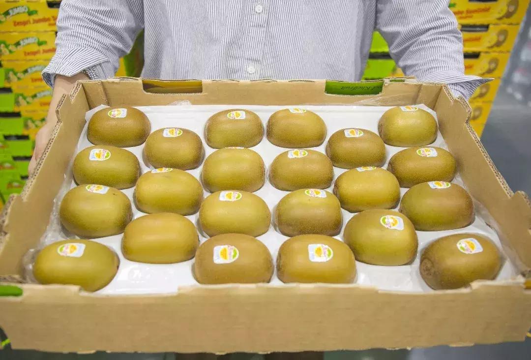 再也不用代购了!来自全球30个国家4000+商品火爆来袭!