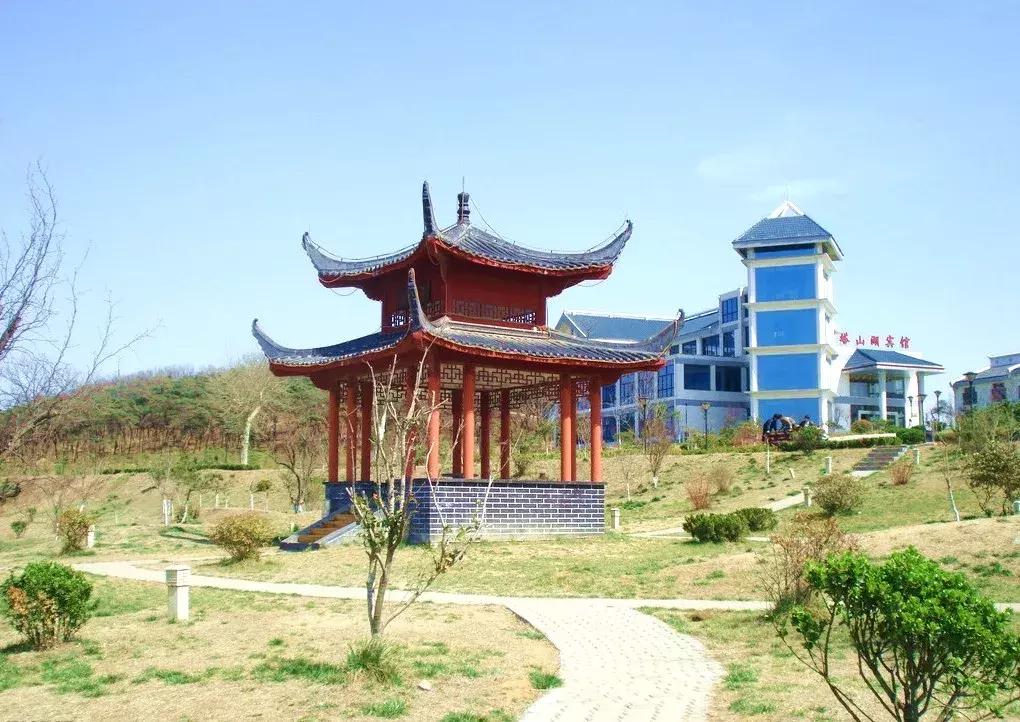 赣榆赶海海葵,自驾游露营野炊赶海