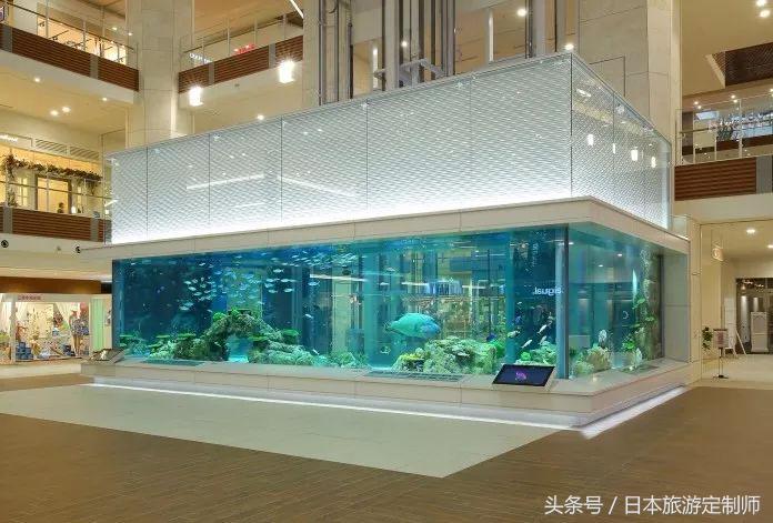 冲绳自由行十大美食,冲绳小吃攻略旅游线路