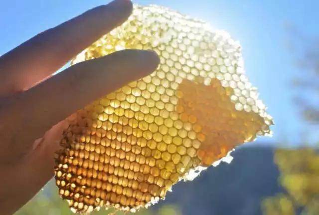 通过食物补充雌激素延缓卵巢早衰,女性雌激素高不宜吃什么食物