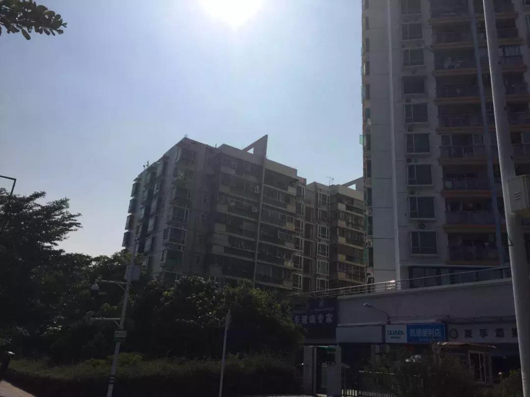 深圳湾最便宜楼盘,深圳湾大面积新盘