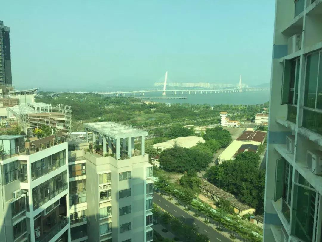 深圳湾最便宜楼盘,深圳湾大面积新盘