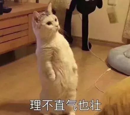 杨洋足球,杨洋足球比赛