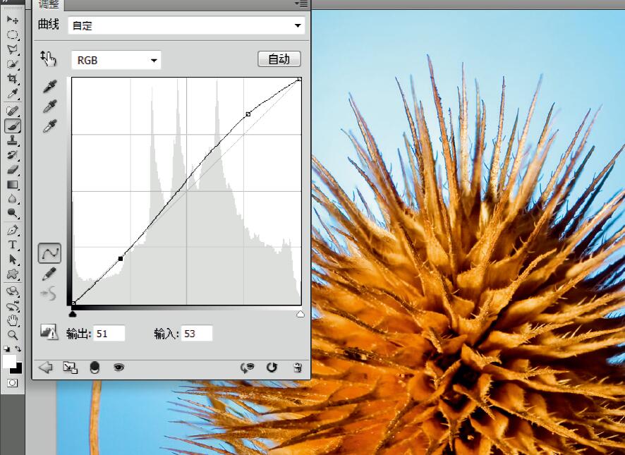 微距摄影后期合成,微距照片景深合成