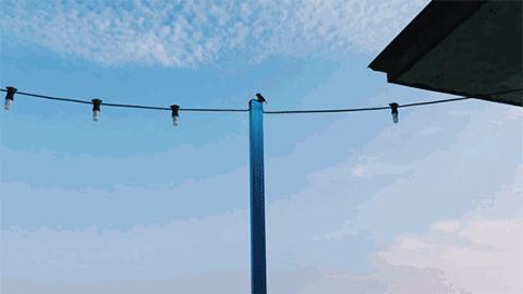 人在囧途通关攻略,人在囧途之历险