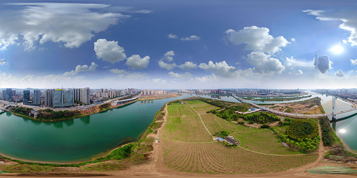 鎽勫奖姣旇禌浣滃搧闃愰噴,鎽勫奖姣旇禌涓婚姊︽兂