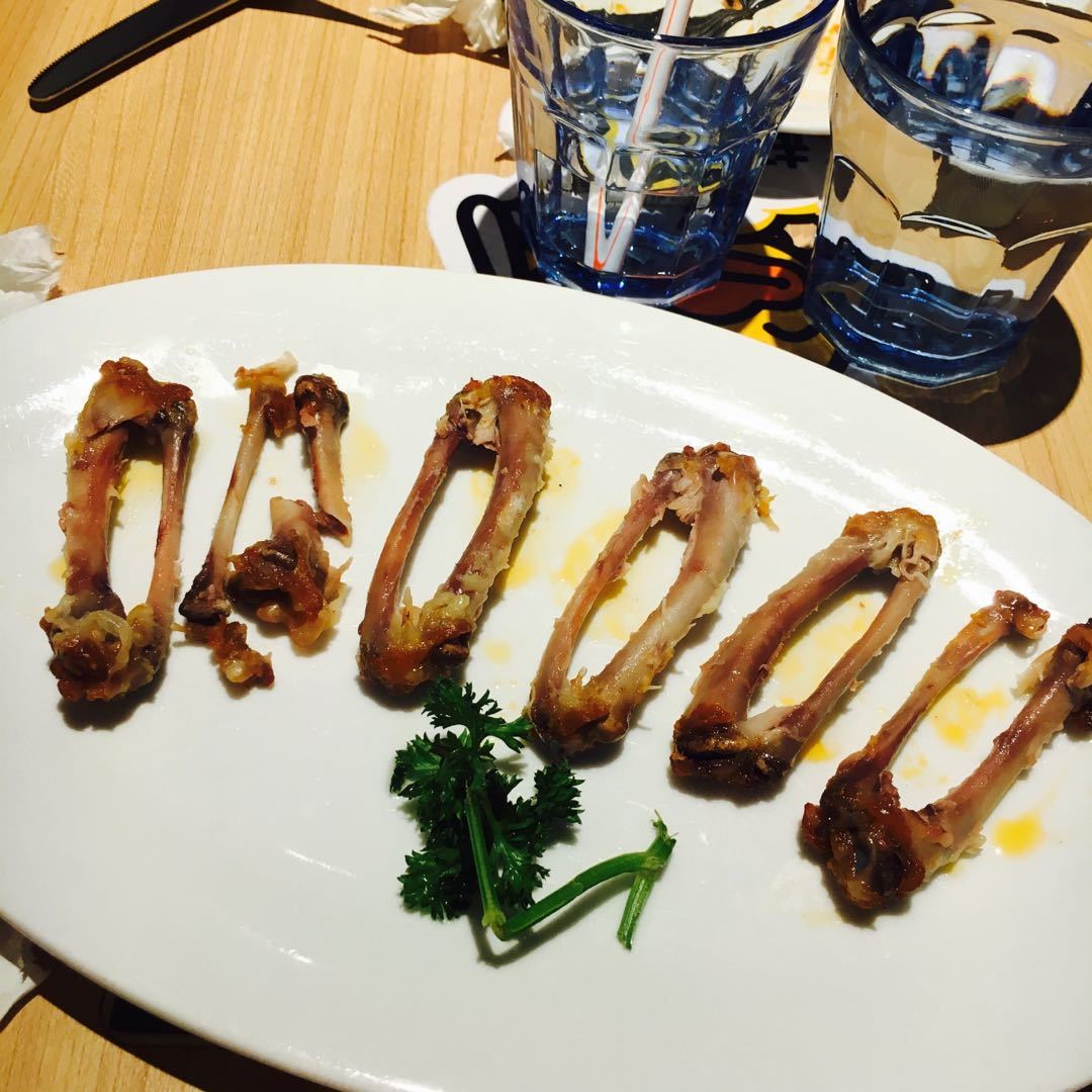 铲屎官新手必看攻略,新手铲屎官必做的10件事