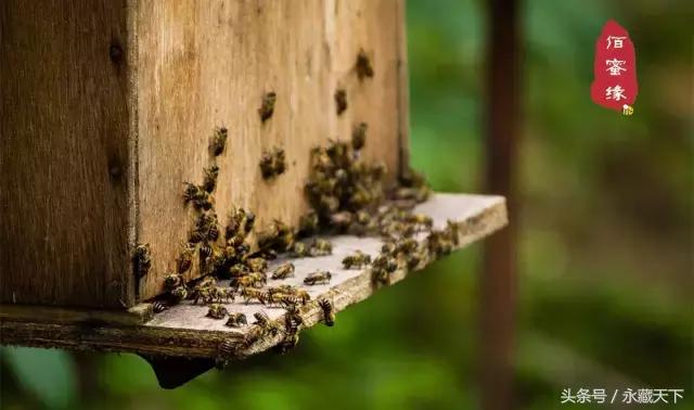 别老喝饮料了在家这样喝更健康,喝白开水健康又养生