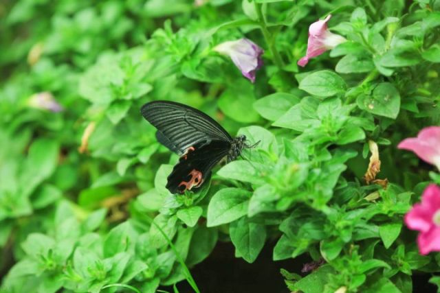 周末遛娃必去指南,六一溜娃攻略