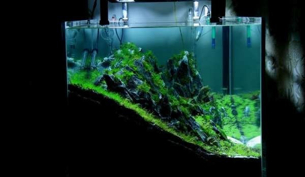如何布置鱼缸水草造景,峡谷河流鱼缸