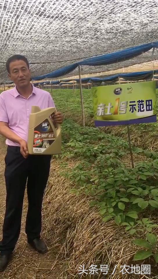 养人参的技术,20年实战养殖技术