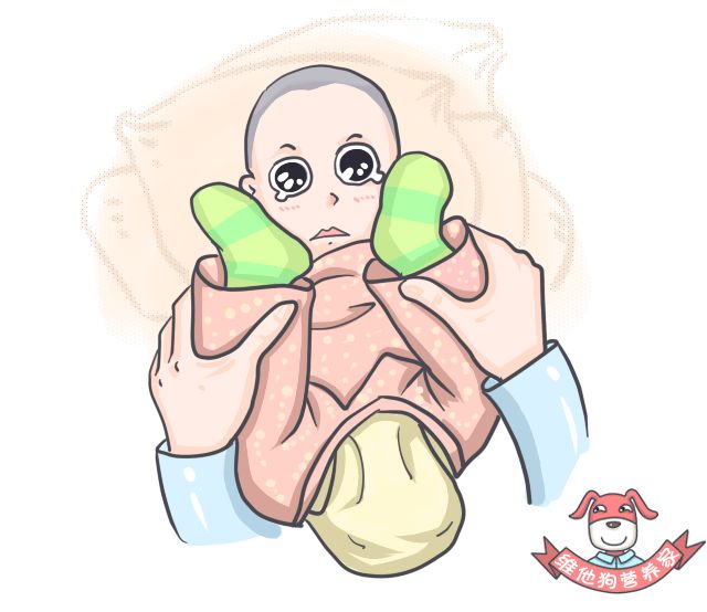 关于便便你不知道的知识,有关便便的知识