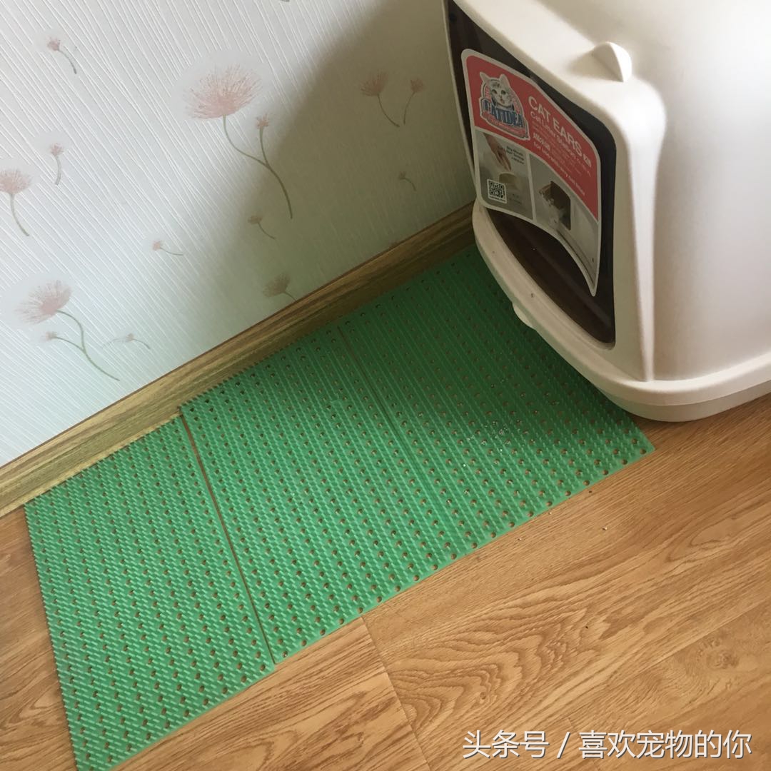 猫砂的处理方法,哪种猫砂不容易被猫弄出来