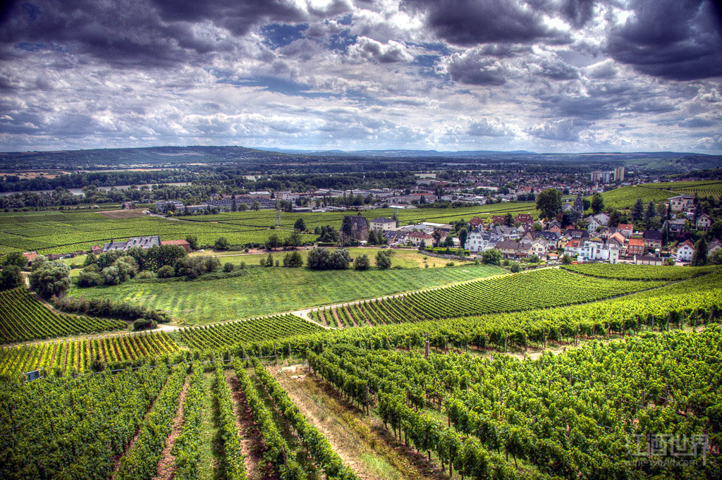 4种低调的德国葡萄酒,德国qba等级的葡萄酒