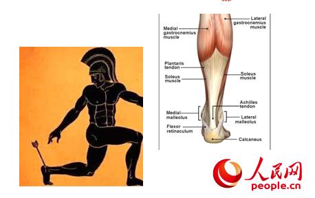 运动中的“阿喀琉斯之殇”:如何预防跟腱受伤?