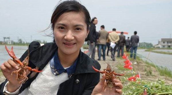 小龙虾怎么搭配菜,小龙虾怎么搭配好看