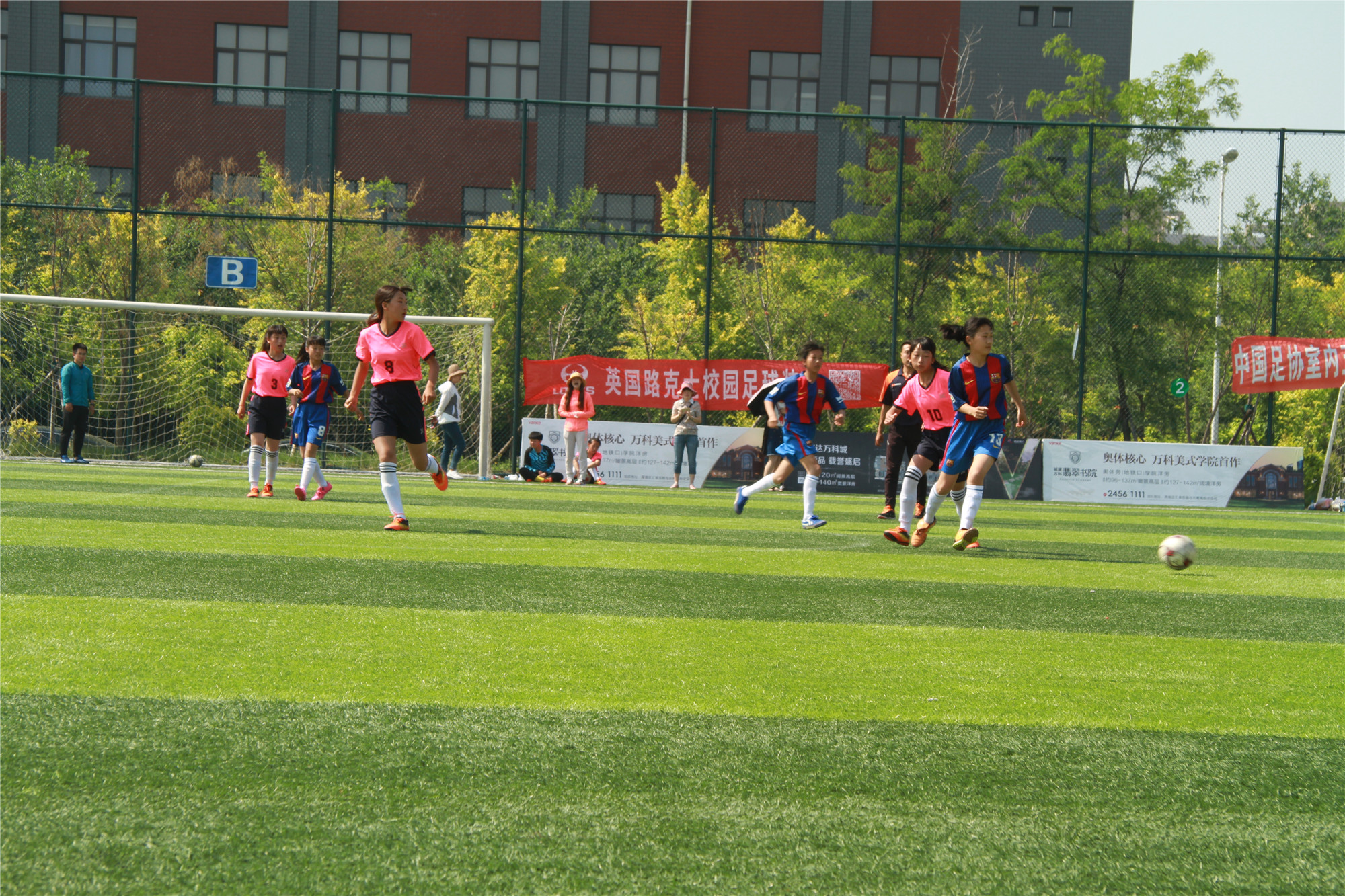 沈阳女子足球队,法库县卧牛石小学足球