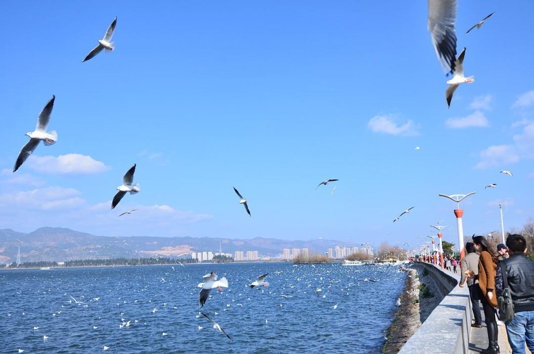 暑期南京飞三亚怎么最便宜,6元秒杀机票