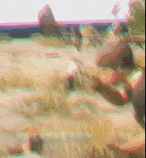 绝地求生十种奇葩的挂,绝地求生十大常用挂