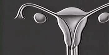 大姨妈的实质是什么,大姨妈进化过程