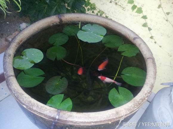 多管下水解决方案,多管齐下才有良效吗