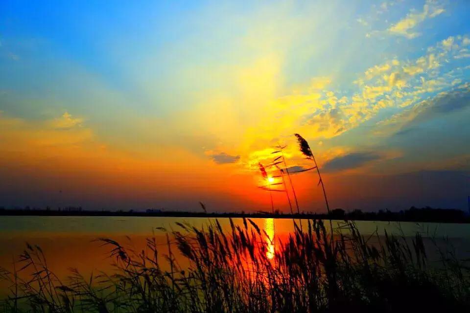 他用对葡园的爱拍出了这片人间仙境