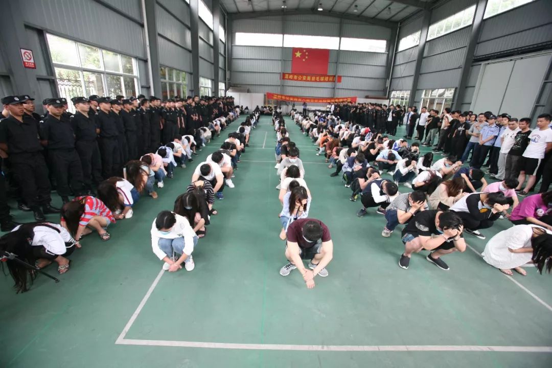 浙江公安破获的最新诈骗案,浙江绍兴警方破获套路贷