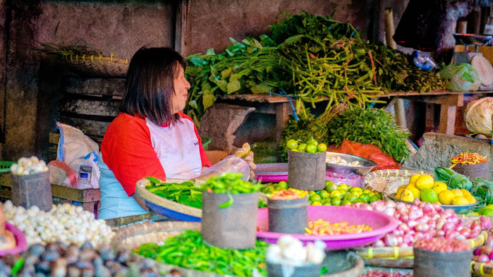 美娜多潜水圣地,印尼美娜多海豚潜水