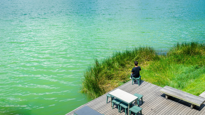 美娜多潜水圣地,印尼美娜多海豚潜水