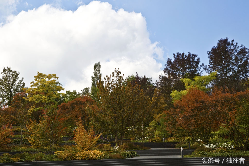 世界杯开幕世界杯足球赛事,世界杯足球赛开幕