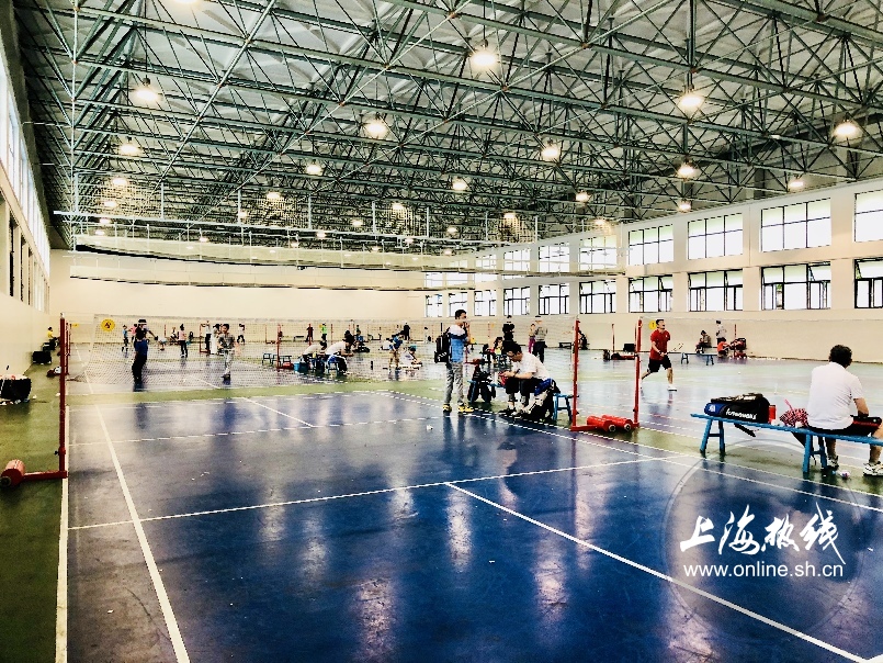 绿树成荫景色宜人清新空气,绿树成荫环境优美空气清新