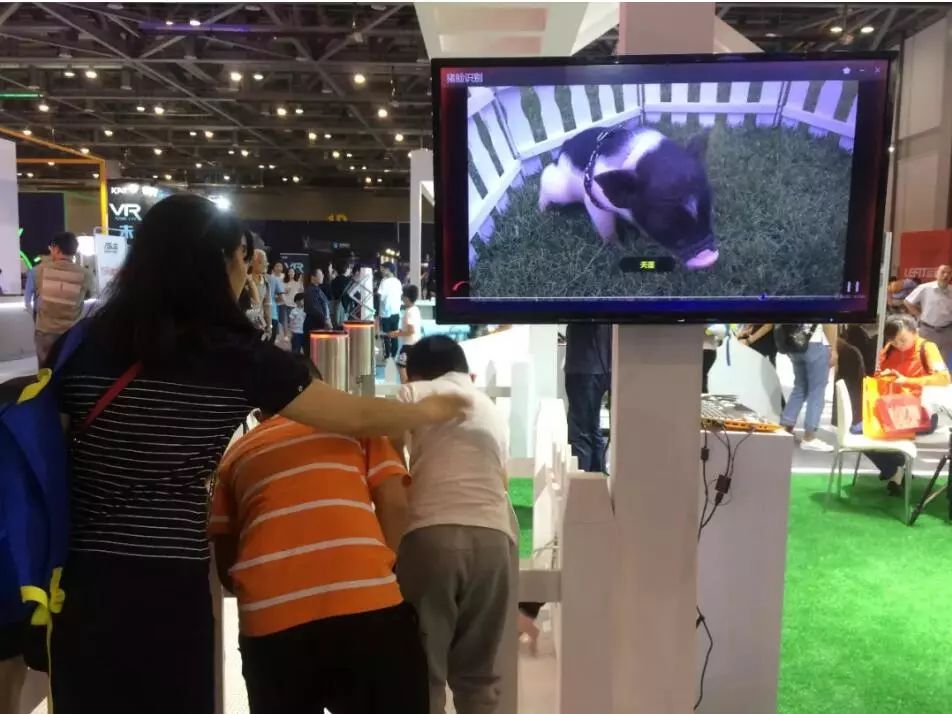 杭州人对未来的好奇心彻底爆发！10多万人在钱塘江边“看到未来”