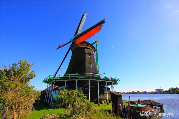 郁金香和风车有什么区别,郁金香和风车哪个好看