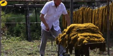 历时30余年,他复原“脚下的软黄金”,连故宫都找他订做地毯!