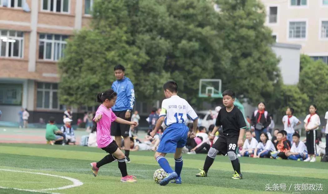 广东校园欺凌综合治理方案全文,贵州欺凌事件