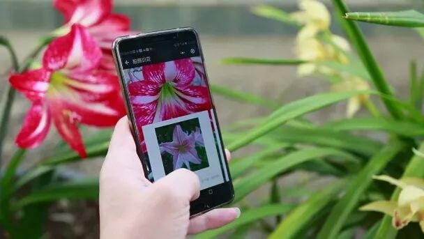 开启昆明新玩法，智慧游花都