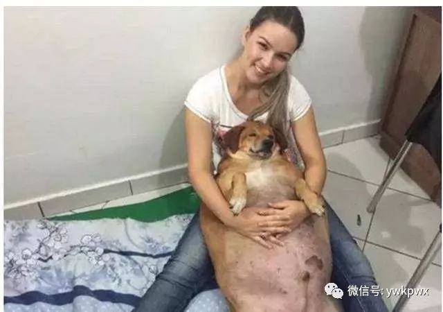 垃圾食品吃多了身体发臭,吃垃圾食品