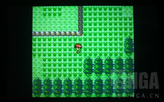 排名前十的精灵宝可梦游戏,精灵宝可梦盘点那些有趣的宝可梦