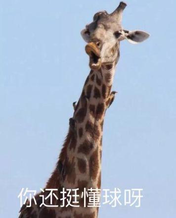 瑞风s71.5t发动机,瑞风s7发动机可以升级吗